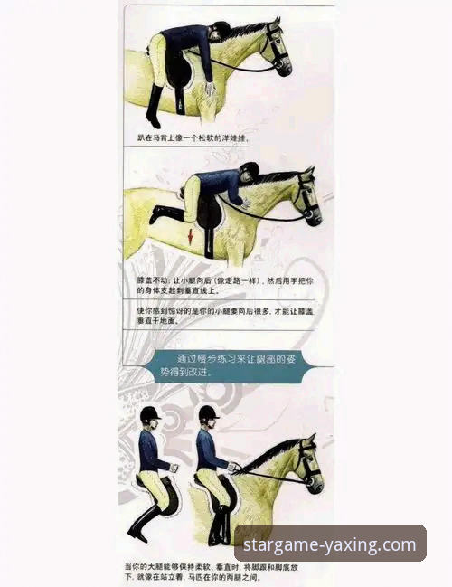 从骑士魔术对攻战,解锁体育赛事观赏的实用技巧